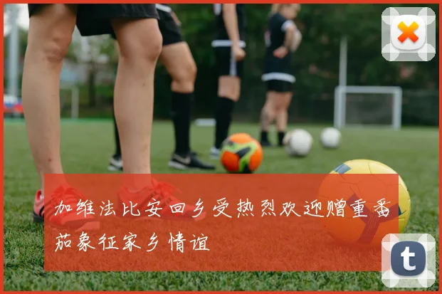 加维法比安回乡受热烈欢迎赠重番茄象征家乡情谊
